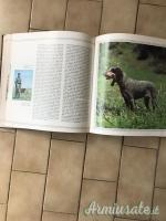 Libro CINOFILIA   e CINETECNICA