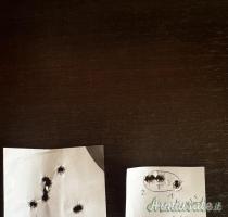 Canna Blaser R93 cal. 25-06