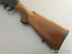 Beretta A300 12