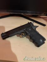 Para Ordnance P14-45 .45 ACP