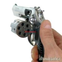 Ruger | Sturm SP-101 .22 LR Long Rifle