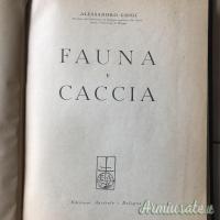 FAUNA E CACCIA