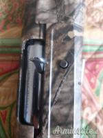 Benelli raffaello 12