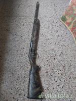 Benelli raffaello 12
