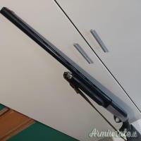 Benelli Raffaello Crio