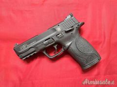 Smith & Wesson M&P22 .22 LR Long Rifle