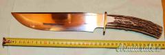 Coltello da Caccia Maestro Annibale