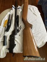 Beretta Sport .22 Long Rifle