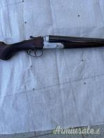 Accuracy Cani interni 12