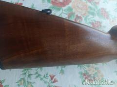 Beretta urika 12