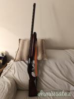 Benelli colombo 12