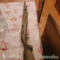 Benelli m1 12