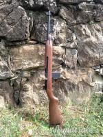 Chiappa Armi M1-22  .22 Long Rifle