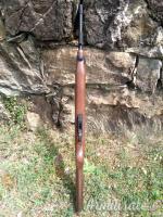 Chiappa Armi M1-22  .22 Long Rifle