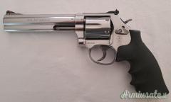 Smith & Wesson 686-6 .357 Magnum  |  9x31mmR  | .353 Casull