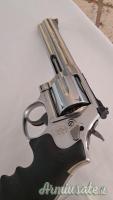 Smith & Wesson 686-6 .357 Magnum  |  9x31mmR  | .353 Casull