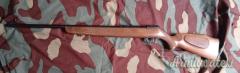 Beretta Automatica .22 Long Rifle