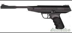 Diana P - Five   LP8 - Magnum 4.5/.177