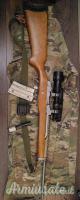 Ruger | Sturm Mini 14 .223 Remington