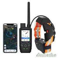 Collare GPS TR-Dog Houndmate 100/R50 con palmare arancione