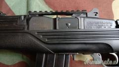 Ruger | Sturm mini 14 Ranch Rifle .223 Remington