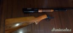 Browning Pompa .22 Long Rifle