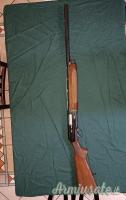 Beretta A304 Silver Lark 12