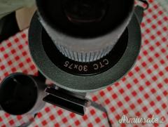 Lungo Swarovski Ctc 30x75