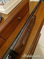 Beretta A303 12