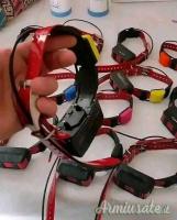 Ho due collari Garmin TT15X in vendita