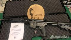 Armi Dallera Custom m5 .CAL.300 AAC CANNA 14.5