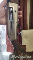 Beretta Al391 light  12