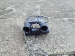 Binocolo Zeiss 10x25B