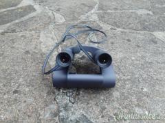 Binocolo Zeiss 10x25B