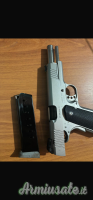 Kimber Stainless 2 .45 ACP