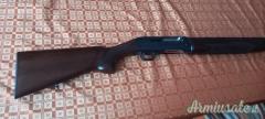 Bernardelli Semiautomatico  12
