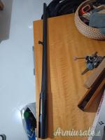 Canna Saint Etienne 65 cm 4 stelle