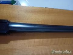 Canna Saint Etienne 65 cm 4 stelle
