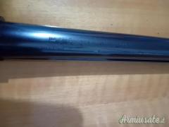 Canna Saint Etienne 65 cm 4 stelle