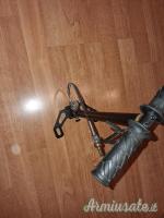 Gamo Coyote 5.5