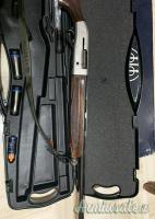 Beretta Greystone 391 12