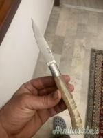 Vendo pattada sardo
