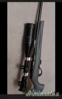 Remington 597 .22 Long Rifle