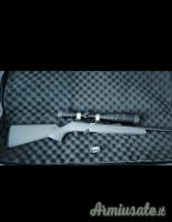 Remington 597 .22 Long Rifle