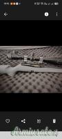 Remington 597 .22 Long Rifle