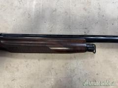 Benelli RAFFAELLO ELEGANT 12
