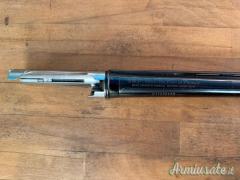 Canna benelli