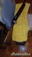 Beretta a301 20