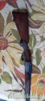 Rizzini Anson  12