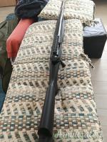 Franchi Orizzon .223 Remington